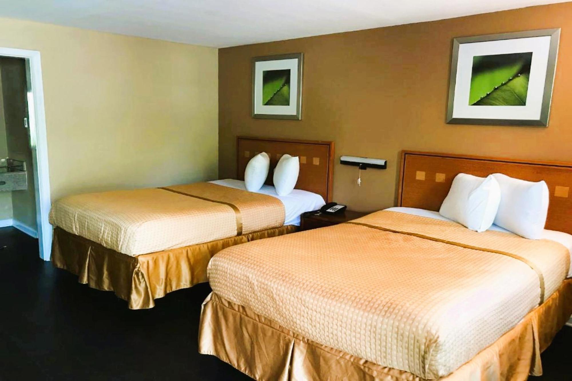 Oyo Hotel Tallahassee Downtown Eksteriør billede